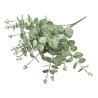 Dirbtinis eukaliptas, h-48 cm