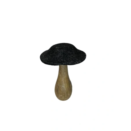 Wooden mushroom with shiny cap, 9×10 cm