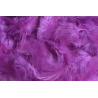 Plunksnos, 10 g