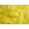 Plunksnos, 10 g