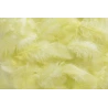 Plunksnos, 10 g