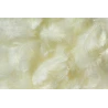 Plunksnos, 10 g