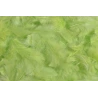 Plunksnos, 10 g