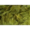 Plunksnos, 10 g