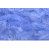 Plunksnos, 10 g