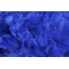 Plunksnos, 10 g
