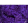 Plunksnos, 10 g