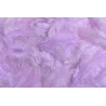 Plunksnos, 10 g