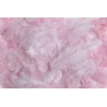 Plunksnos, 10 g