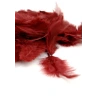 Plunksnos, 10 g