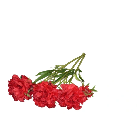 Dirbtinė-gvazdiko-šakelė