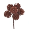 Shiny branch