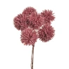 Shiny branch