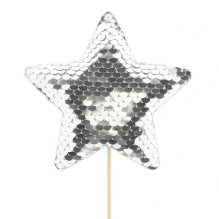 Cheerzz star, 10 cm on a 10 cm stick, silver color