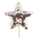 Cheerzz star, 10cm on 10cm stick, rose gold