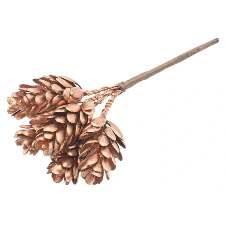 Pine cones on a stalk, 15 cm