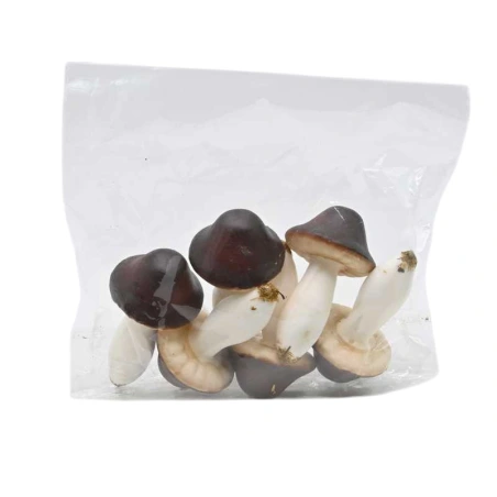 Mushrooms, 14 cm, 1 pack. - 6 pcs.