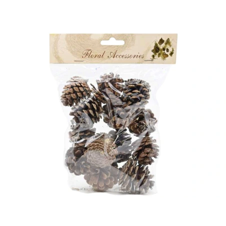 Pine cones, 1 pack - 10 pcs.