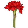 Bouquet of 3 amaryllis, 30 cm