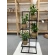 Plant stand, 40×102 cm