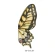 Wrapping paper "Butterfly", 50×56 cm, multicolored, 1 pack. - 10 pcs.