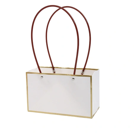 Gift bag, 22×10.5×13.5 cm, white