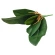 Artificial orchid leaves, 33 cm