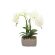 Artificial orchid in a pot, 36 cm