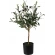 Artificial olive tree, 66 cm