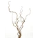 Natural Hazelnut Corylus Branches, 60 cm, 1 pack. - 5 pcs.