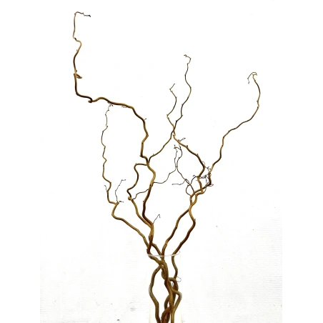 Natūralios lazdyno Corylus šakos, 60 cm, 1 pak. - 5 vnt.