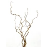 Natural Hazelnut Corylus Branches, 60 cm, 1 pack. - 5 pcs.