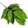 Artificial mango leaf, 58 cm