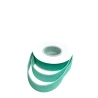 Single-sided velvet ribbon, light mint green