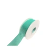 Single-sided velvet ribbon, light mint green
