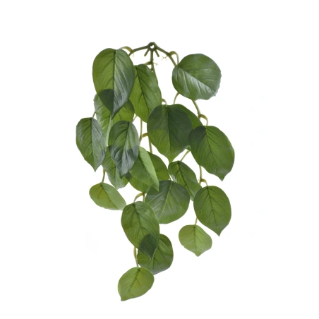 Dirbtinis filodendras, 56 cm