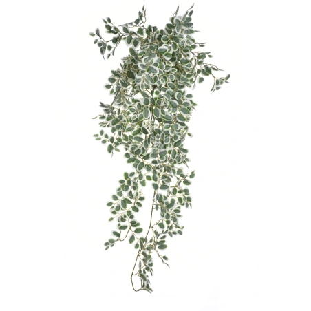Dirbtinis eukaliptas, 80 cm
