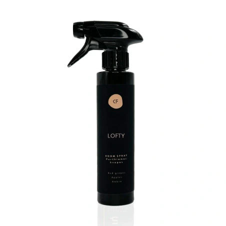 Purškiamas kvapas „Lofty“, 250 ml