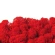 Preserved Moss, 250 g, red