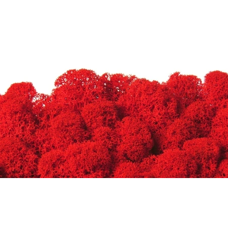 Preserved Moss, 250 g, red