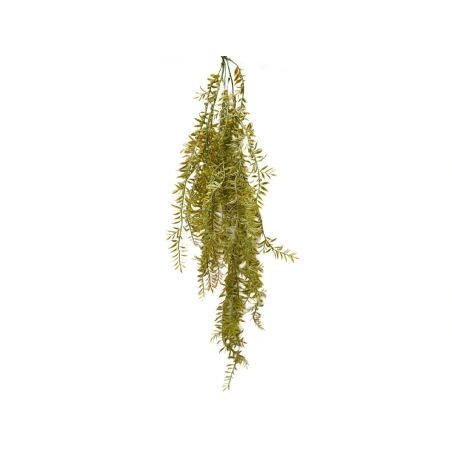 Kabanti žaluma, 90 cm