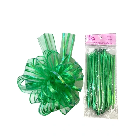 Organza ribbon, 50 mm × 120 cm, green