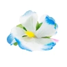 Hawaiian hairpin, big, blue, 7,5×12 cm