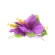 Hawaiian hairpin, large, purple, 12 cm