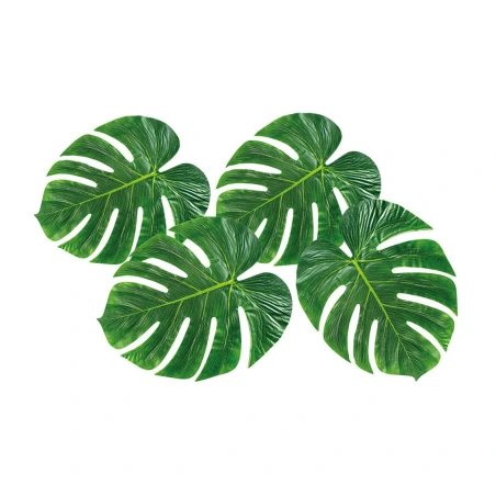 Palm leaves 4 pcs