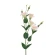 Artificial eustoma, 85 cm, cream, light pink