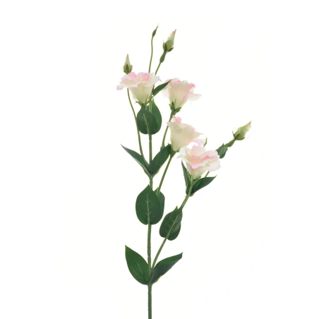 Dirbtinė eustoma, 85 cm, kreminės, šviesiai rožinės spalvos