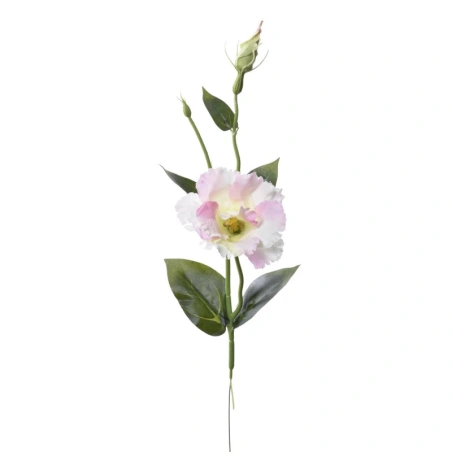 Dirbtinė eustoma, 47 cm, kreminės, šviesiai rožinės spalvos