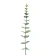 Dirbtinis eukaliptas, 40 cm