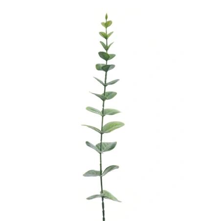 Dirbtinis eukaliptas, 40 cm
